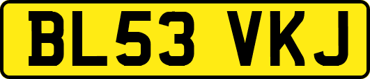 BL53VKJ
