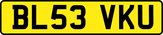BL53VKU