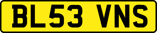 BL53VNS