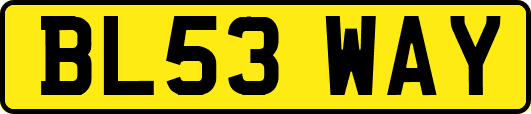 BL53WAY