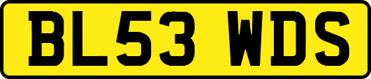 BL53WDS