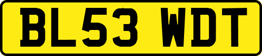 BL53WDT