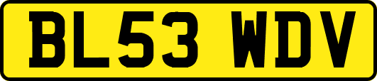 BL53WDV
