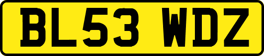 BL53WDZ