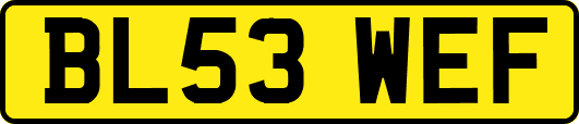 BL53WEF