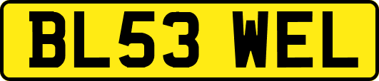 BL53WEL