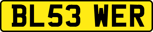 BL53WER