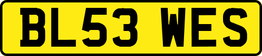 BL53WES