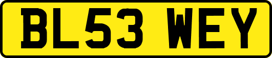 BL53WEY