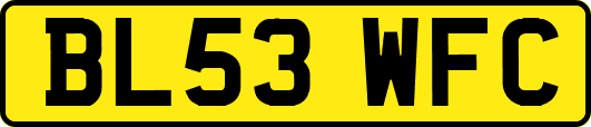 BL53WFC