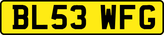 BL53WFG