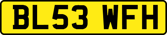 BL53WFH