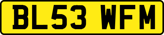 BL53WFM