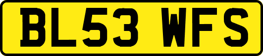 BL53WFS