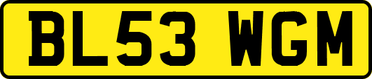 BL53WGM