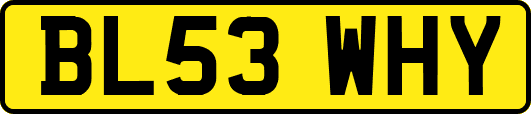 BL53WHY