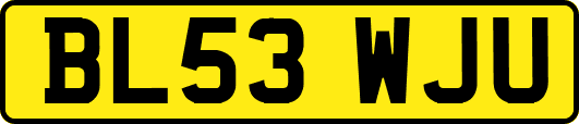 BL53WJU