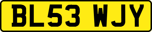 BL53WJY