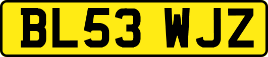 BL53WJZ