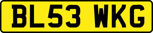 BL53WKG