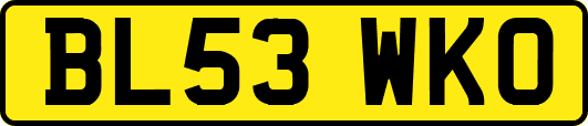 BL53WKO