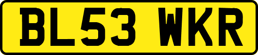 BL53WKR