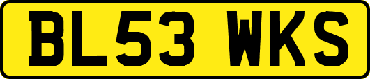 BL53WKS