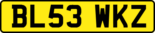 BL53WKZ