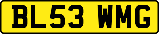 BL53WMG
