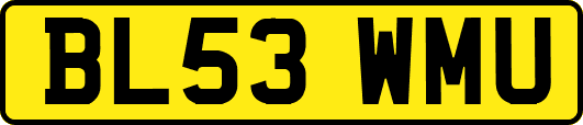 BL53WMU