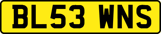 BL53WNS