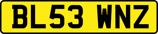 BL53WNZ