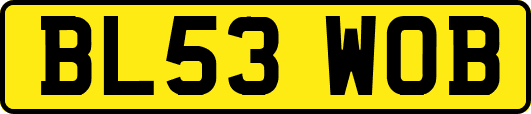 BL53WOB