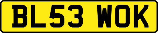 BL53WOK
