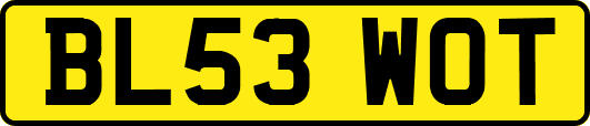 BL53WOT