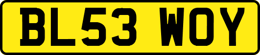 BL53WOY
