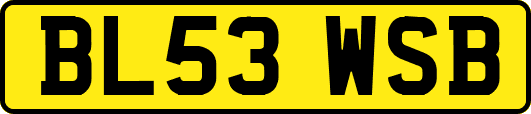 BL53WSB