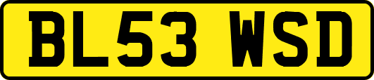BL53WSD