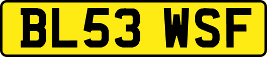 BL53WSF
