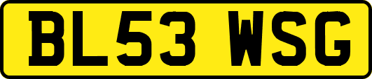BL53WSG