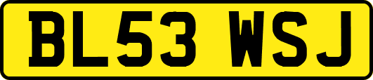 BL53WSJ