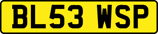 BL53WSP