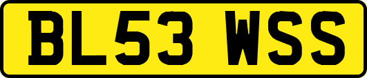 BL53WSS