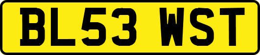 BL53WST