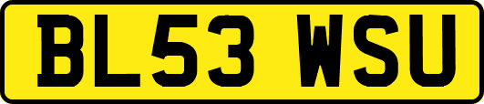 BL53WSU