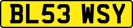 BL53WSY