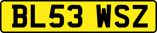 BL53WSZ