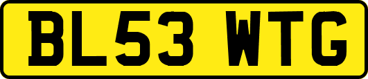 BL53WTG
