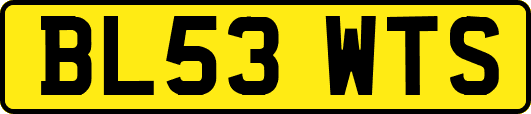 BL53WTS