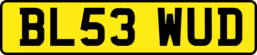BL53WUD